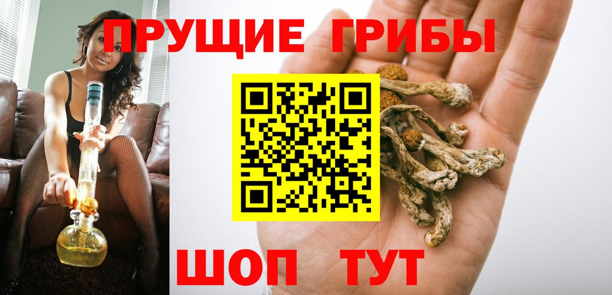 Псилоцибиновые грибы Psilocybine cubensis  Вход с VPN  Альметьевск 