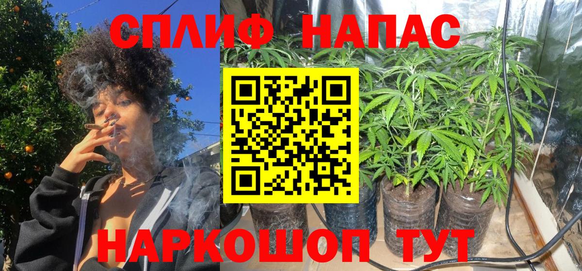 Конопля сатива  Каннабис марихуана  Альметьевск  Бошки Шишки AK-47  Вход с VPN 